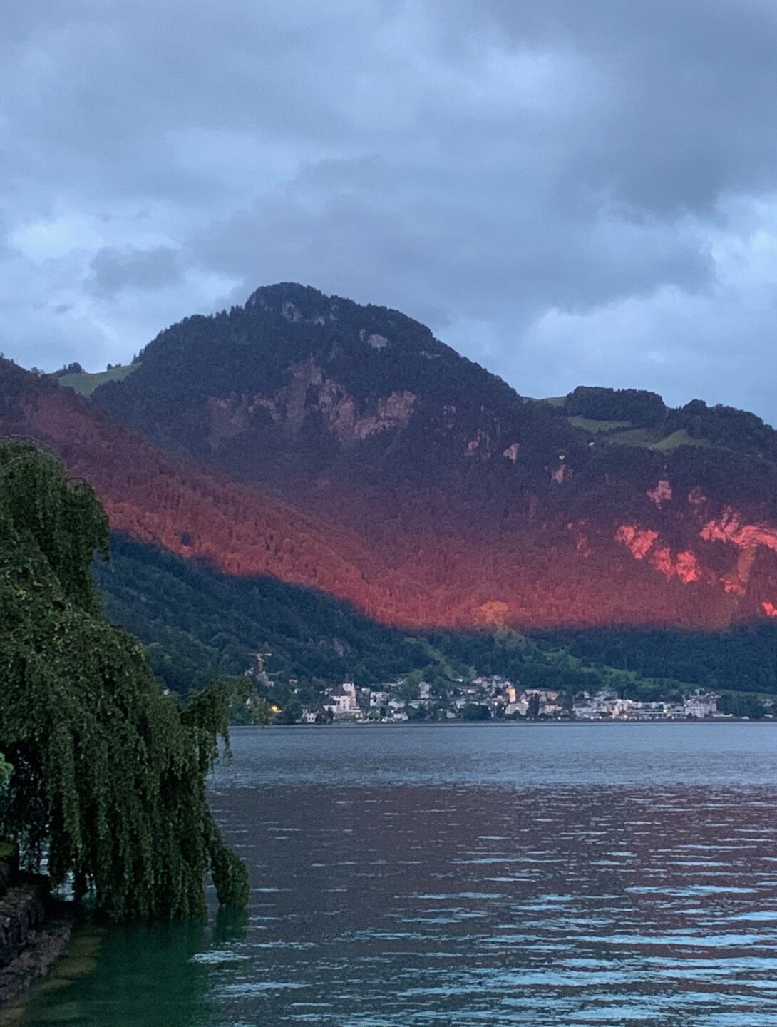 Foto mit Aussicht auf den Vitznauerstock und den Vierwaldstättersee
